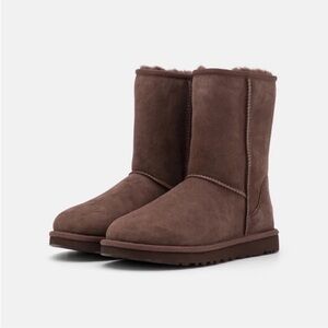 ugg short chocolate brown